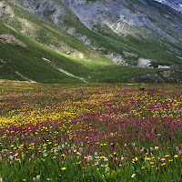 Tutti i colori della Natura di 