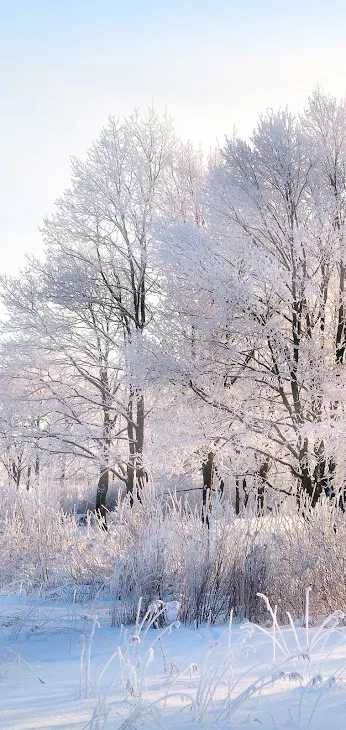 「クリスマスLOVE♡」のメインビジュアル