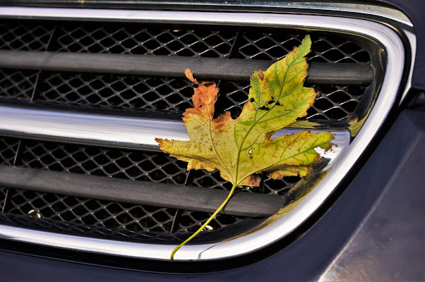 Autunno di DMax