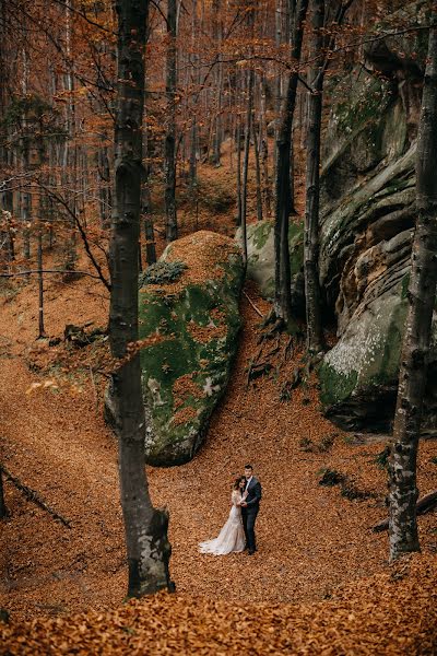 Wedding photographer Mariana Cooper (mcooper). Photo of 26 November 2018