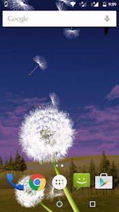 How to download Flying Dandelion LWP lastet apk for android