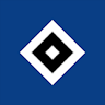 Hamburger SV icon