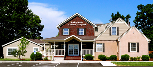 Springhurst Animal Hospital