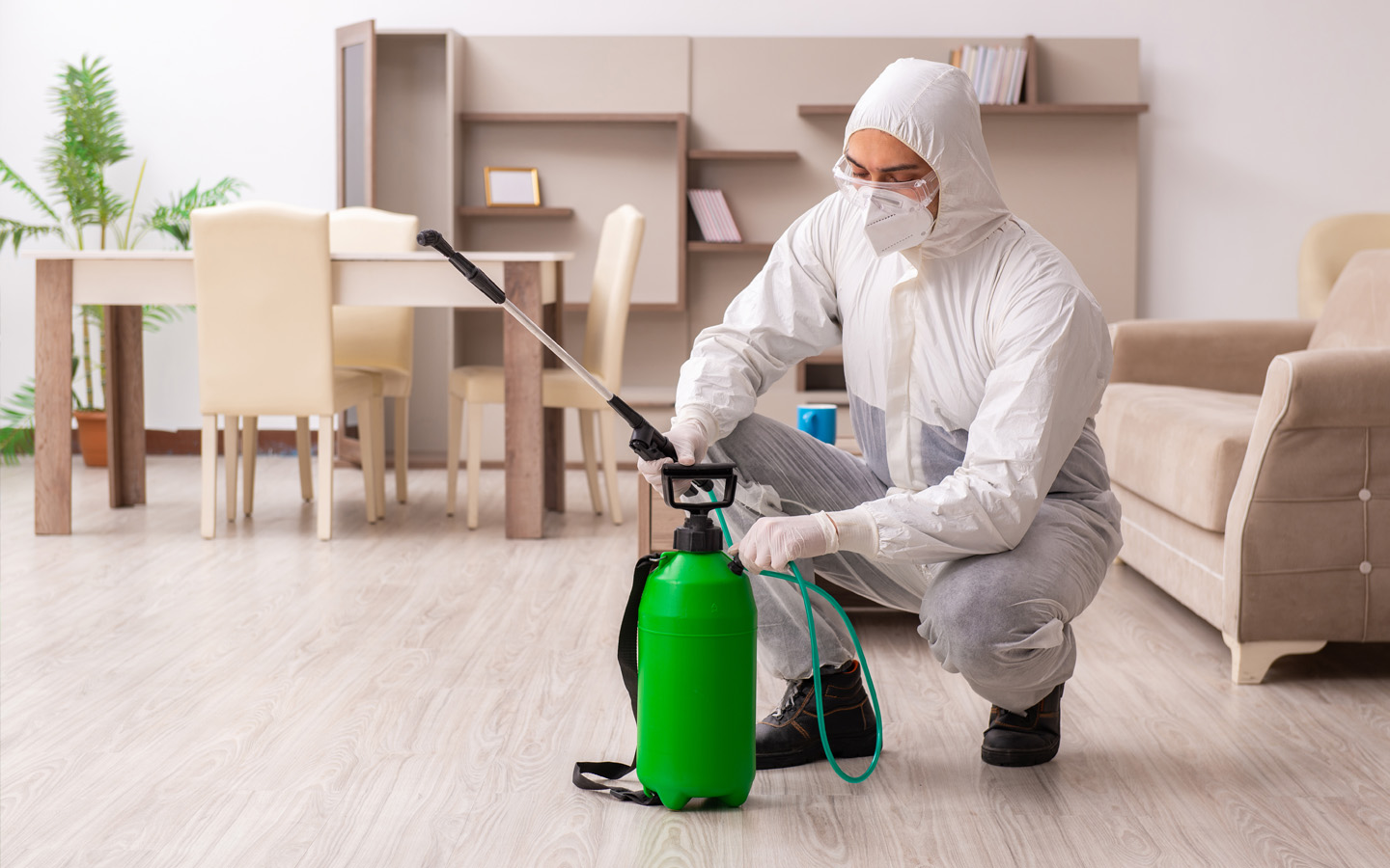 Residential pest control in Abu Dhabi