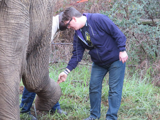 Elephants Rescue & Refuge South Africa 2017