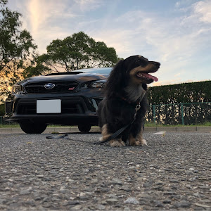 WRX STI