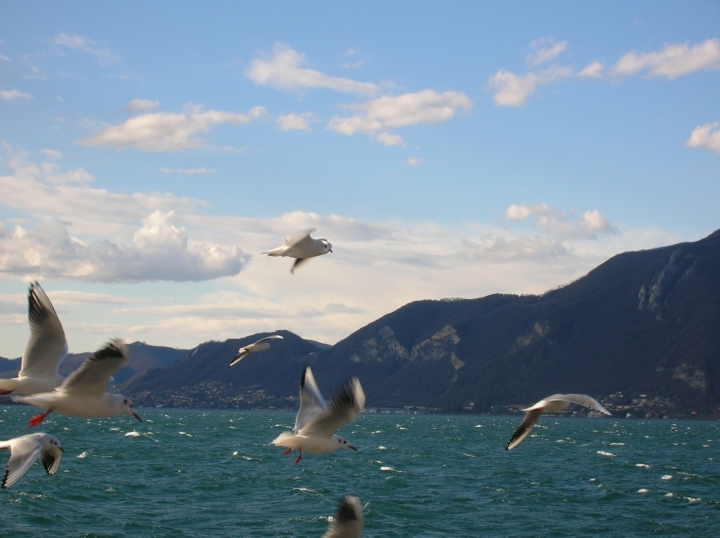 Lago d'Iseo in una giornata particolare di Alesil