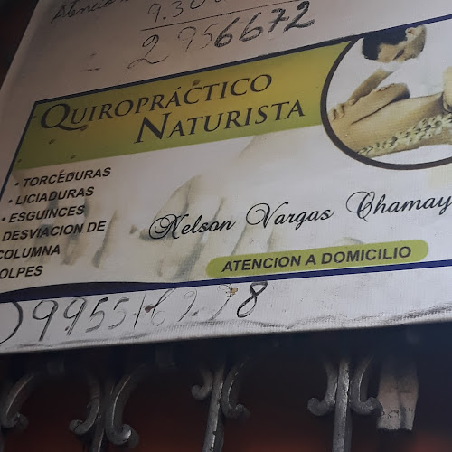 Quiropractico Naturista