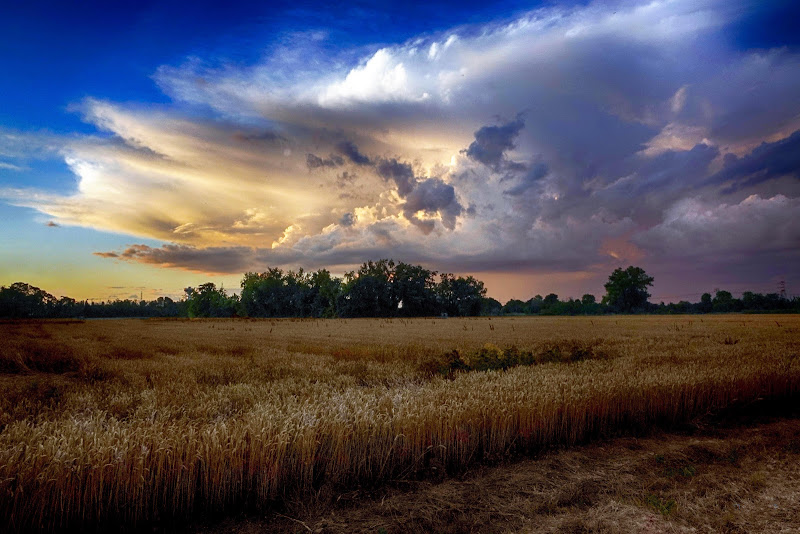 Dopo la tempesta di DANI_PH