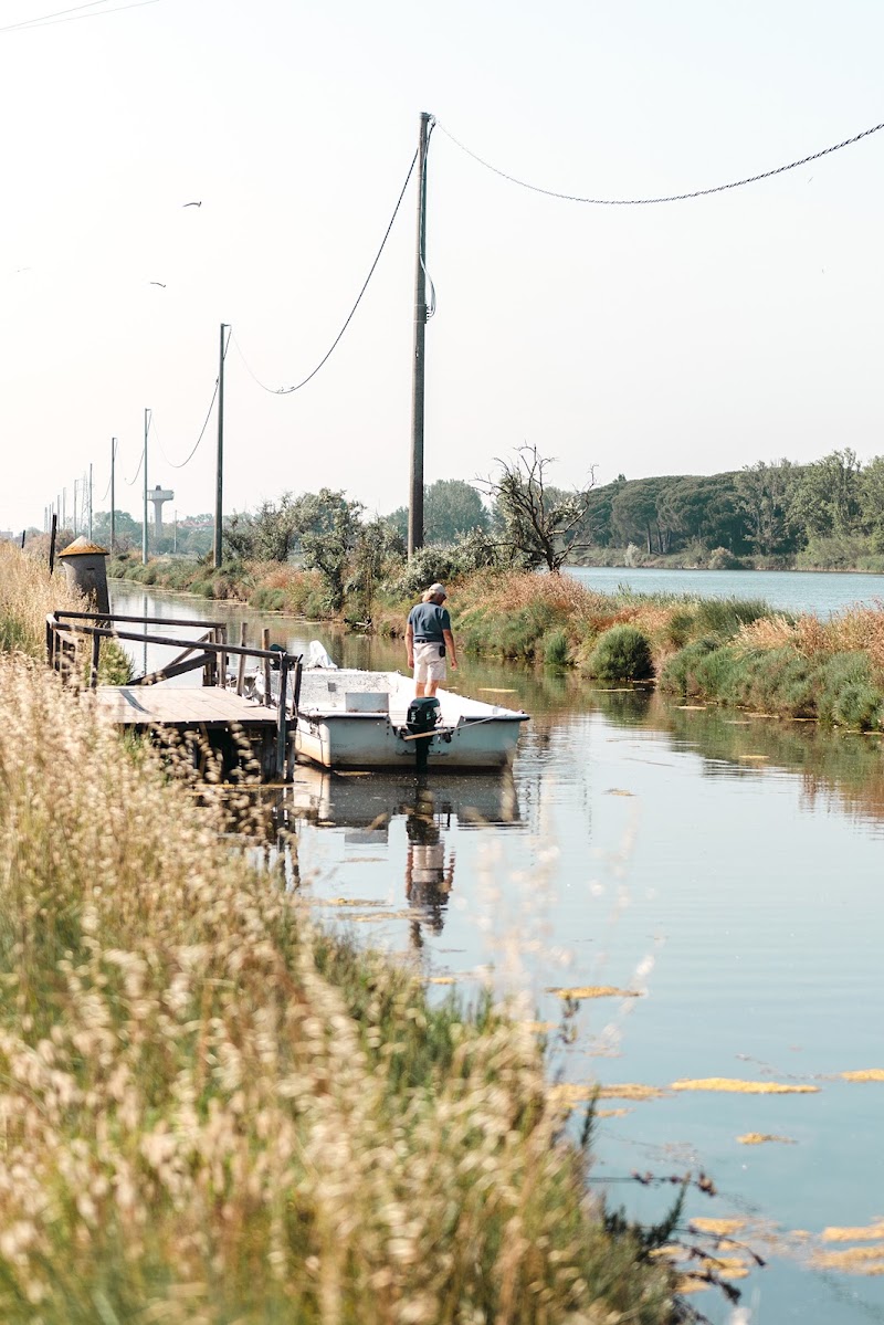 LA VITA DEL PESCATORE di NOEMI_PHAOLI