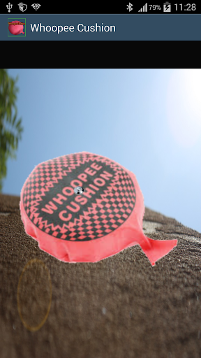 Whoopee Cushion