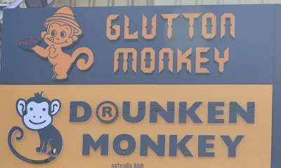 Glutton Monkey