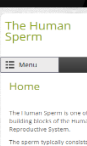 Human Sperm