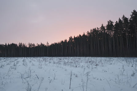 Kāzu fotogrāfs Aleksey Radchenko (linv). Fotogrāfija: 17. septembris 2016