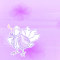 Item logo image for sakuya but  purple