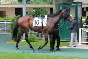 Grande Course de haies d'Auteuil 2015 (H., Gr.I, Auteuil) 7-06 : Un temps pour tout 3NsNSH6MH9dpmJrURzwevQP7WrtO2cbxdjewqclsT1Jj=w288-h192-p-no