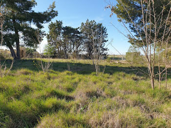 terrain à Marseillan (34)