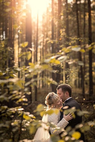 Wedding photographer Vera Pavlova (dolphina). Photo of 22 October 2013