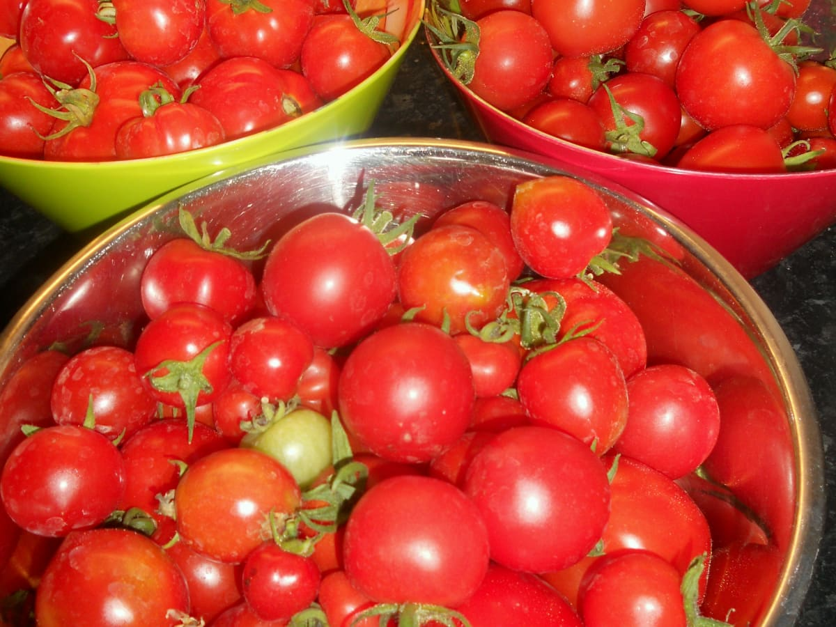 Nutritional Value of Tomato Powder