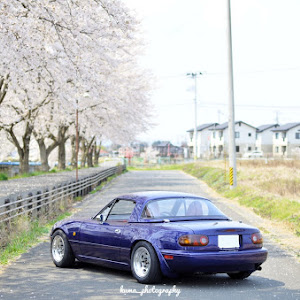 ロードスター NA8C