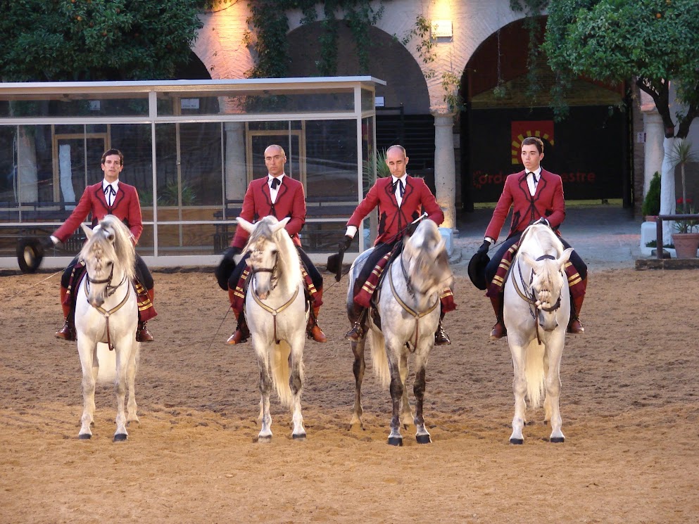 cordoue - spectacle des écuries royales