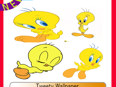 Tweety 壁紙 の最高のコレクション 最高の花の画像