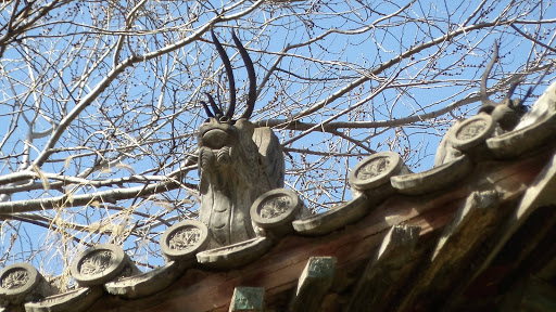 The Summer Palace Beijing China 2016