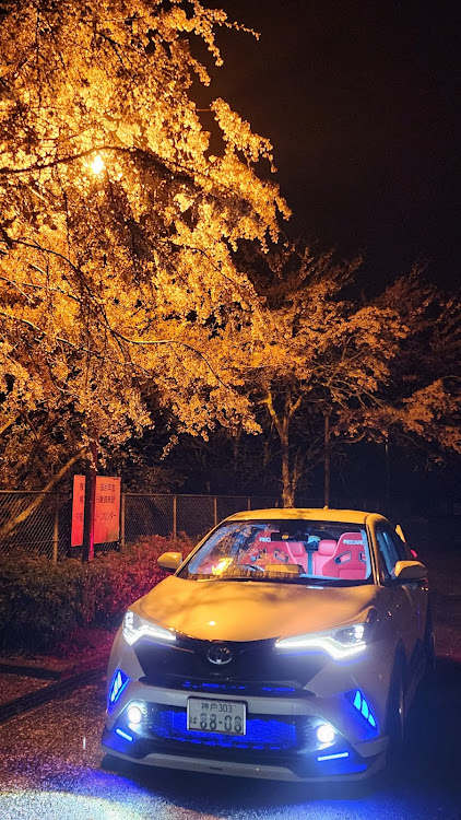 C-HRのたくさんのいいねやコメントをありがとうございました。・夜桜とコラボ・4月もよろしくお願い致します🌸に関するカスタム事例の投稿画像1枚目