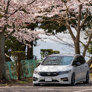 ジェイド FR5