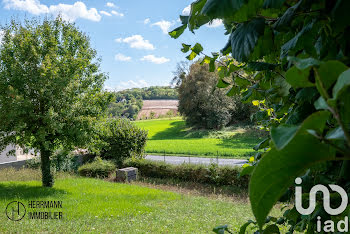 terrain à Beynes (78)