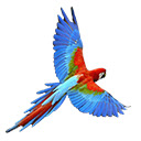 Parrot - Safirmedya Chrome extension download