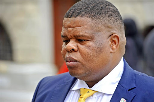 State Security Minister David Mahlobo