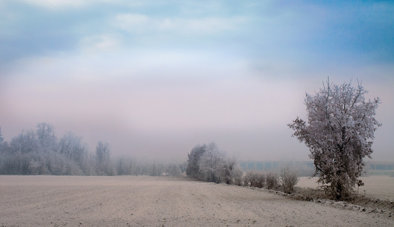 In inverno di marina_mangini