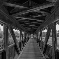 Ponte di legno di 