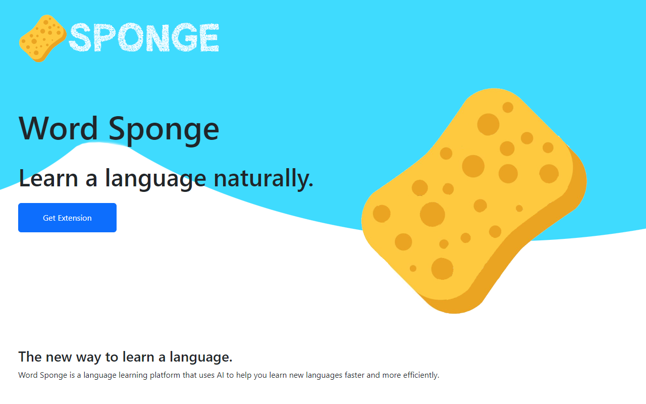 Word Sponge Preview image 0