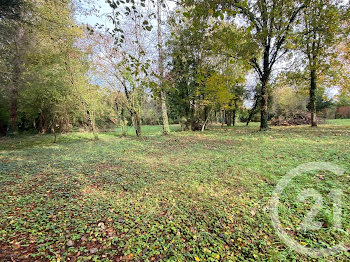 terrain à batir à Saint-Sauveur-sur-Ecole (77)