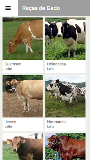 Cattle Breeds