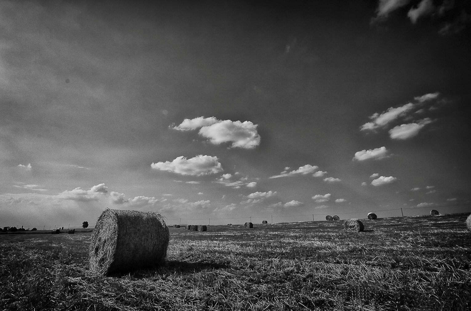 Summer in b/w di alessandroaccossato