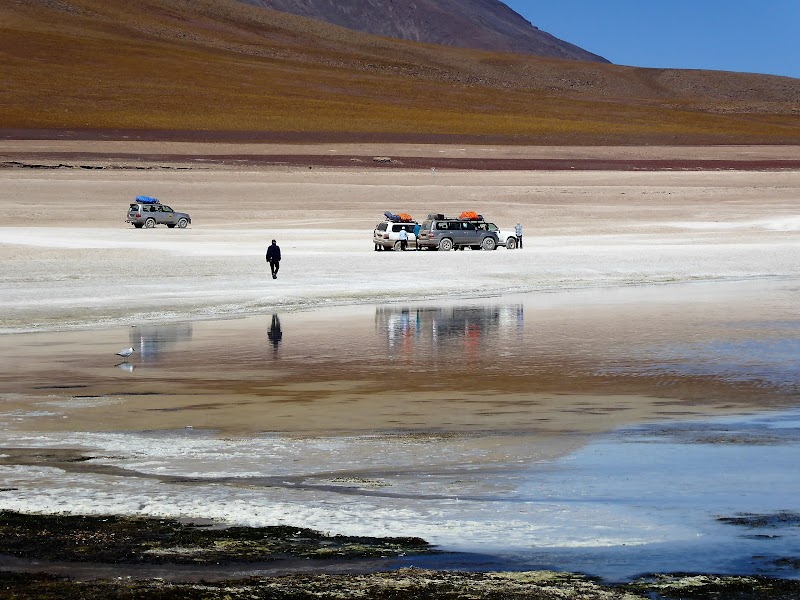 LAGUNAS DE COLORES:RESERVA NACIONAL DE FAUNA ANDINA EDUARDO AVAROA. BOLIVIA - CHILE: Atacama ( con extensión a Uyuni) y Carretera Austral (9)