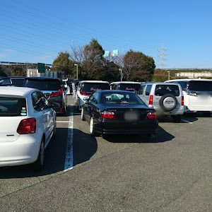 アルファード ANH20W