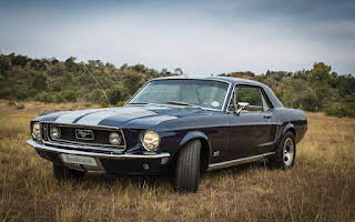 Ford Mustang Gt Rent Gauteng