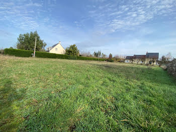 terrain à Baugé-en-Anjou (49)