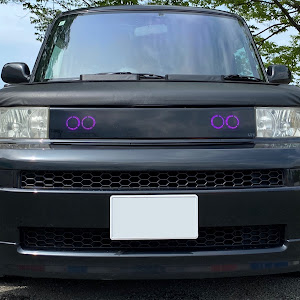 bB NCP31
