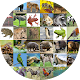 Download Animal Sounds Audio For PC Windows and Mac 1.0