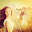 Blender Camera: Photo Blender Download on Windows