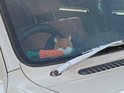 アルトラパンの洗車・しかだんご・にんじんさん・愛車が一番に関するカスタム事例の投稿画像2枚目