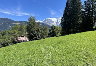 Terrain avec vue panoramique 9