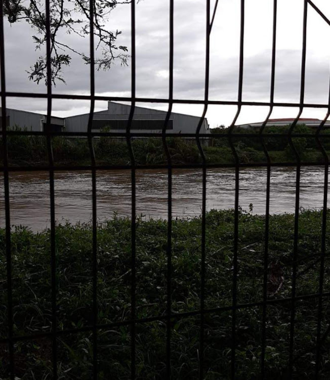 Animals at SPCA Springfield were taken to safety when kennels were flooded by an overflow from the nearby Umgeni River on Tuesday morning.