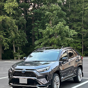 RAV4 AXAP54