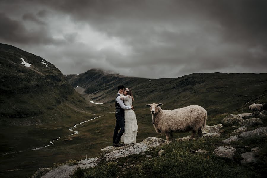 Düğün fotoğrafçısı Kristine Ristesund (kristiner). 2 Mayıs fotoları